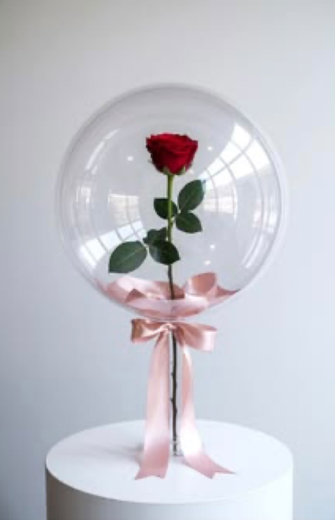 Balloon Rose Solo — Ruban Poudré